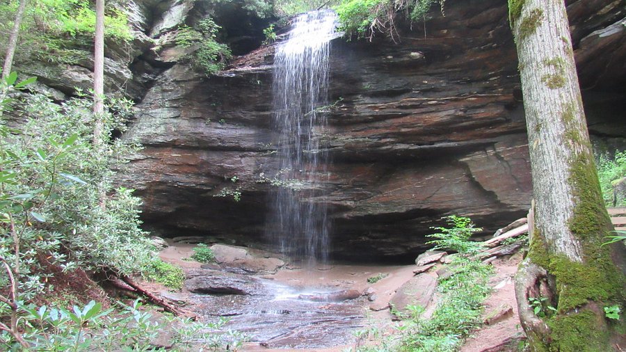 best waterfalls near brevard nc