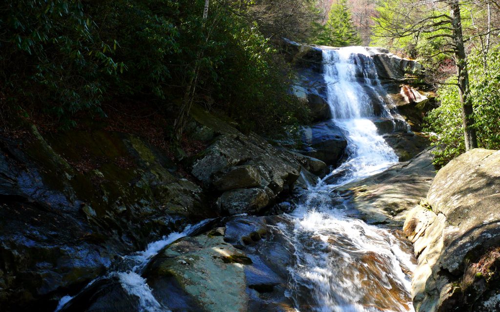 things to do in brevard nc