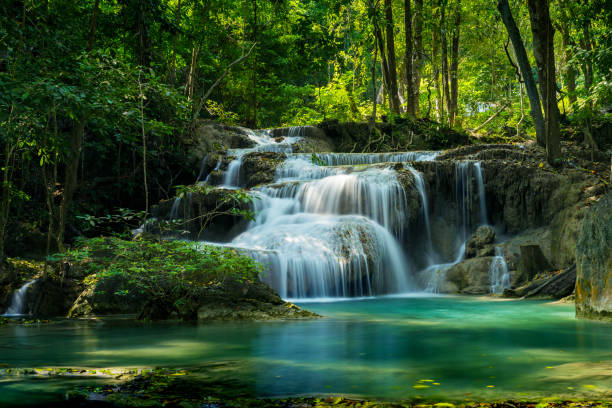 things to do in brevard nc
